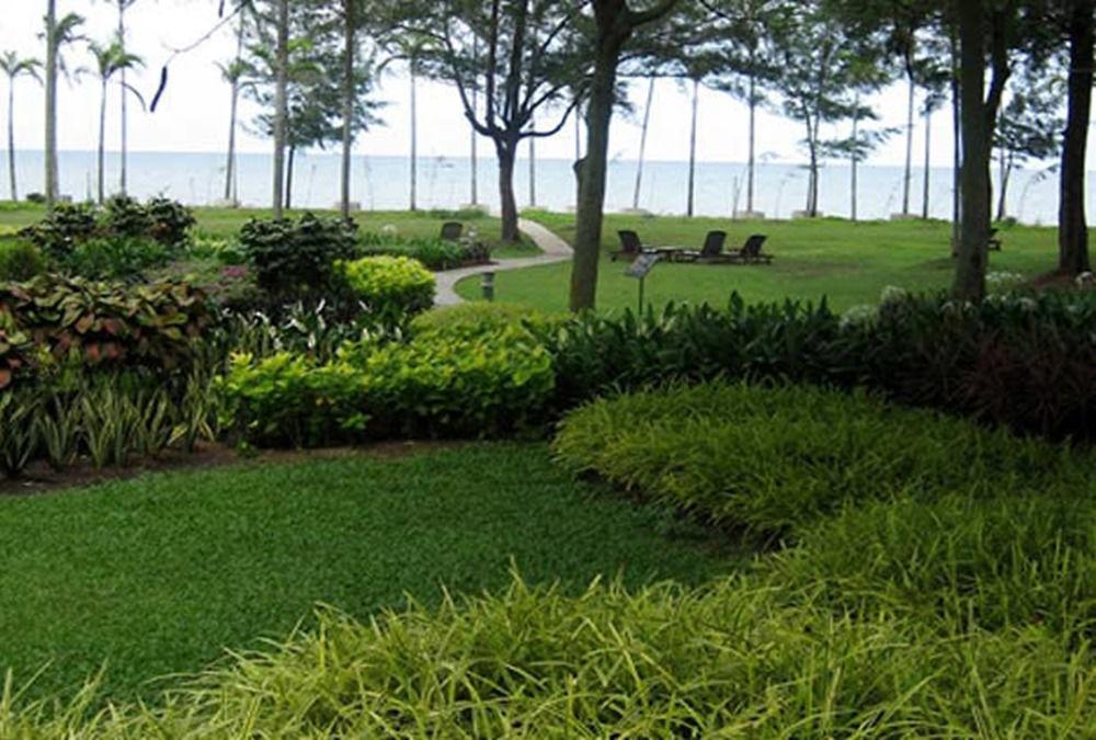 Miri Marriott Resort & Spa Exterior photo View of the lake from the hotel